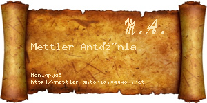 Mettler Antónia névjegykártya